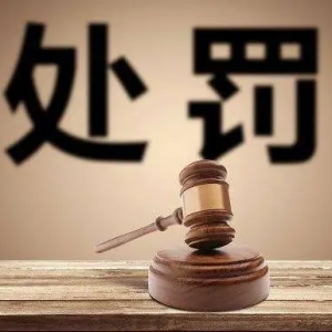 证监会就行政处罚裁量规则征求意见，强调处罚必要性与均衡性 ...