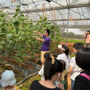 科技小院：年轻人的农业梦想与实践