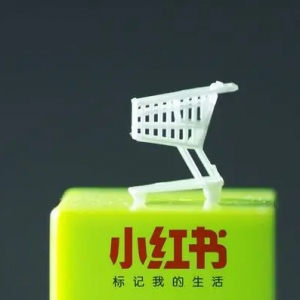 小红书电商的左右互搏，618后的电商之路能否敲响IPO大门？