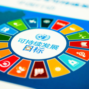 全球能源转型与合作，联合国论坛聚焦可持续发展目标
