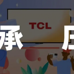 TCL科技百亿并购LG显示资产，市场反应冷淡背后：盈利承压与财务挑战 ...