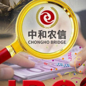 中和农信冲刺IPO：农村金融巨头背后的风险与挑战
