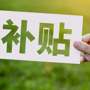 2025年“两新”补贴政策持续发力，车市回暖势头强劲