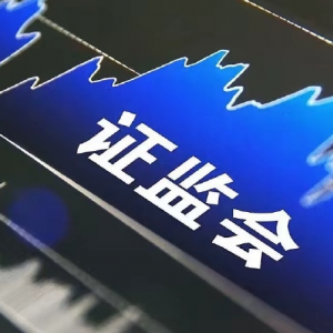严打证券违法，构建“行民刑”立体化追责体系护航资本市场 ...