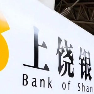 上饶银行2025年度同业存单发行计划揭晓，财务数据彰显稳健发展态势 ...