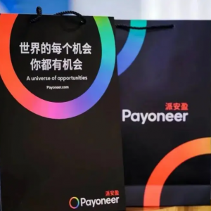 Payoneer派安盈联手亚马逊启动“寰宇”计划，助力卖家突破增长瓶颈 ...