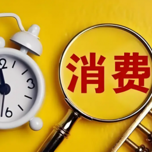 两新政策显成效：扩消费稳投资，促转型惠民生新篇章
