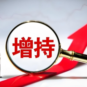 深市回购增持热潮涌动，行业龙头领衔传递市场信心