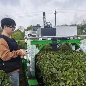 重庆首款山地名优茶智能采摘机器人亮相，科技赋能茶产业振兴 ...