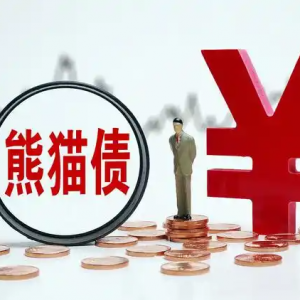 熊猫债扩容引领新潮流，高水平开放注入新动力